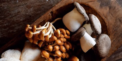 Untamed Dining: A Foraged & Fire-Cooked Supperclub