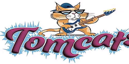 Tomcats LIVE at Lily Flanagan's West Babylon