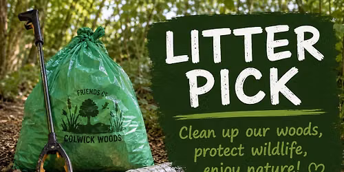 July Litter Pick at Colwick Woods