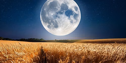 Harvest Full Moon