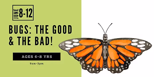 Bugs: The Good & the Bad! Ages 6-8