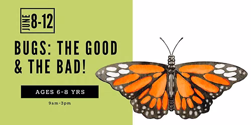 Bugs: The Good & the Bad! Ages 6-8