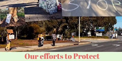 \ud83c\udf33 WOBBLE BOARDING AND STOP THE CHOP PETITION DRIVE \ud83c\udf33
