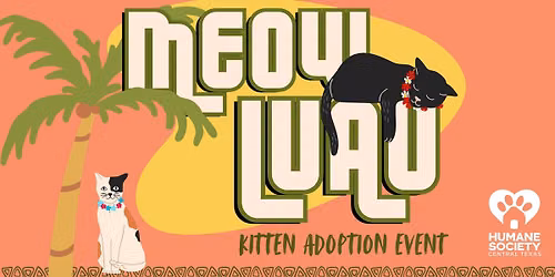 \ud83c\udf34\ud83d\udc31 MEOW LUAU: Kitten Adoption Event & Supply Drive