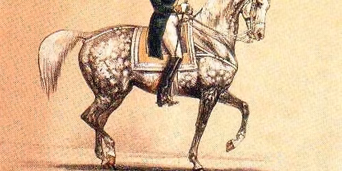 Workshop inom klassisk Dressyr och arbete vid hand med Anneli Eriksson L\u00e4tt