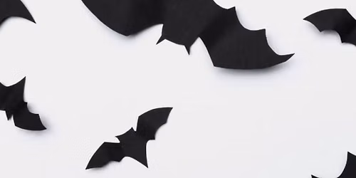 Bat Trackers Campfire