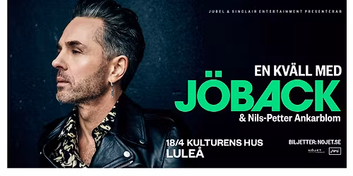 En kv\u00e4ll med J\u00f6back I Lule\u00e5, Kulturens hus