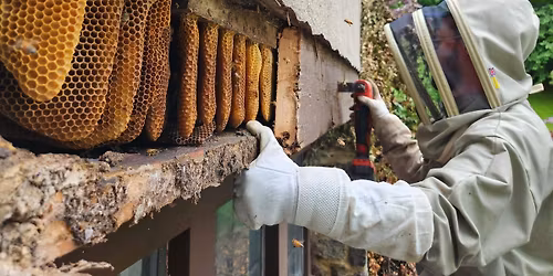 BSBA April 2026 Meeting