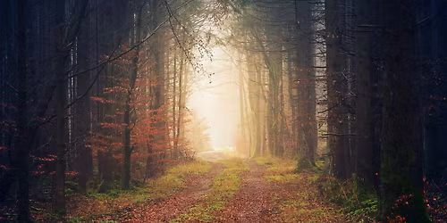 November Full Moon Circle 2025