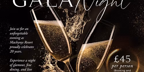 20 Year Celebration \ud83c\udf89