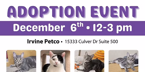 CARMA Cat Adoption Event - Irvine Petco