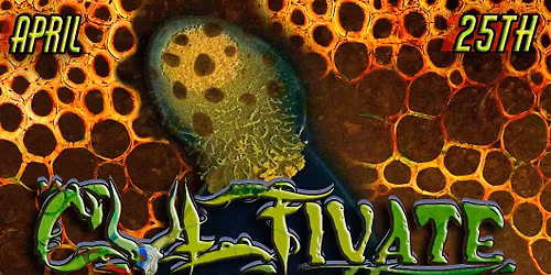 Cultivate.069 | BW\/CW, Sewer, Skin & Bones