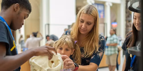 Illinois Free Wednesday