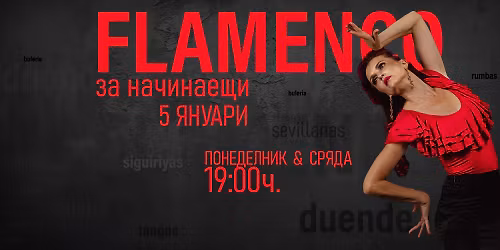 \u0424\u041b\u0410\u041c\u0415\u041d\u041a\u041e \u0417\u0410 \u041d\u0410\u0427\u0418\u041d\u0410\u0415\u0429\u0418