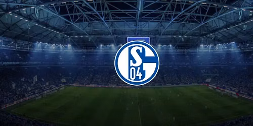 FC Schalke 04 vs Werder Bremen at Veltins Arena