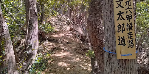 5\/23(\u571f) \u9808\u78e8\u30a2\u30eb\u30d7\u30b9\u6587\u592a\u90ce\u9053\u30b0\u30eb\u30e1\u30cf\u30a4\u30ad\u30f3\u30b0