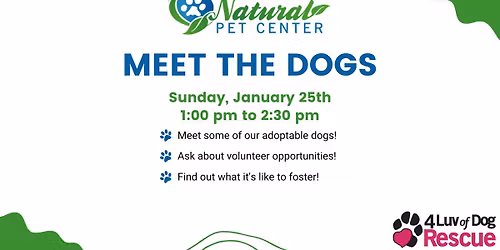 Meet the Dogs at Natural Pet Center