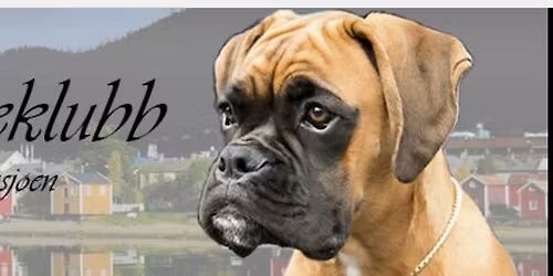 Invitasjon til kurs for arrang\u00f8rer av hundeutstilling