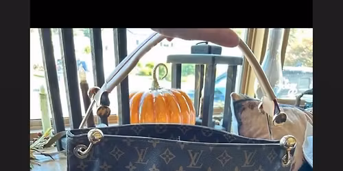 Who doesn\u2019t LOVE a good pocketbook?