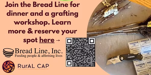 Free Apple Tree Grafting Workshop