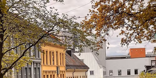 Loppemarked p\u00e5 Ruth Maiers plass (St. Hanshaugen)