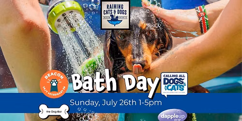 Bath Day- Raining Cats and Dogs