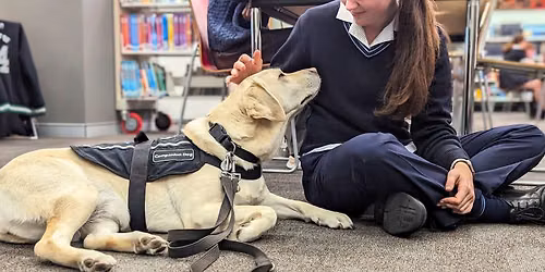 Therapy Dog at Wollongong Library