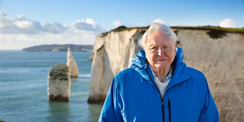 Ocean With David Attenborough