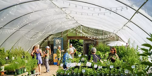 Native & Pollinator Plant Sale