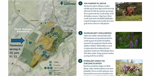 Botanisk tur i Mols bjerge