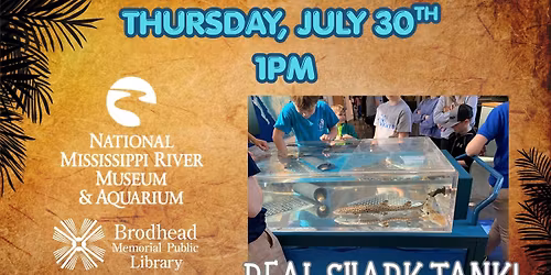Shark Touch Tank at the Library!
