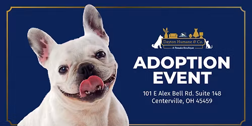 Adoption Event at Dayton Humane & Co.