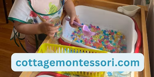 Our program begins on March 16th!