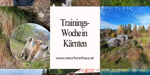 Trainingswoche Natur pur in K\u00e4rnten