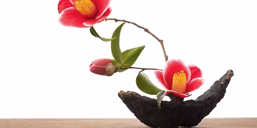 Ikebana Flower Arranging