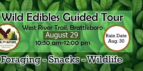Guided Wild Plant Foraging Walk - Foraging, Snacks, & Wildlife