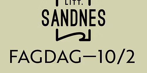 Litt.Sandnes sin fagdag: Demokratiet i krise