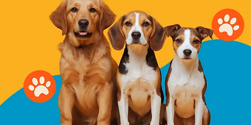 Adoption Event with The Cantu Foundation