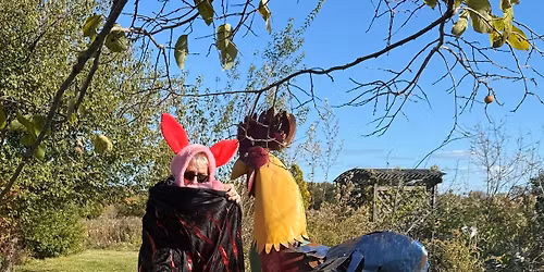 RISKYH3 #35 Downtown Jingle 5k and POY\u2019s Cookies! 