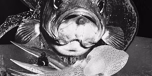 Denizen's Digest IV Launch!