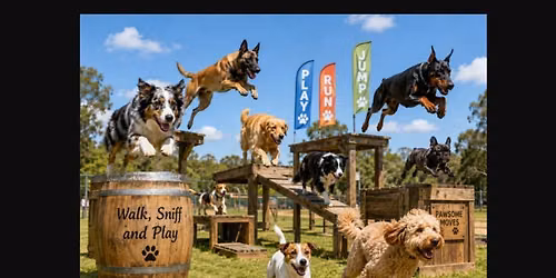 Dog Parkour Level 1- Have Fun With Your Dog (4 Week Course)