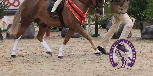 Oli Burchell Showing Clinic