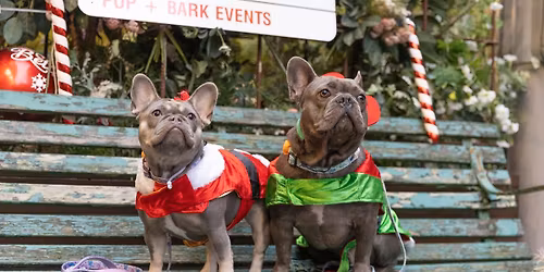 FRENCHIE CAFE CHRISTMAS - LONDON