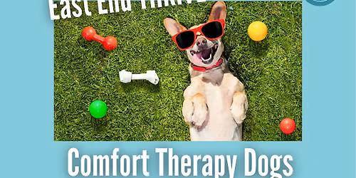 Comfort Therapy Dogs