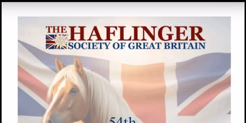 The 54th National Haflinger Breed Show
