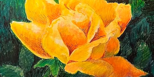 Multimedia Open Art with Susan Rohrback