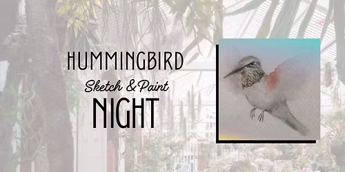 Hummingbird Sketch & Paint Night
