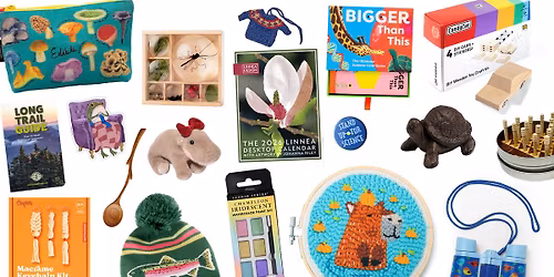 Shop, Save, Sundays!