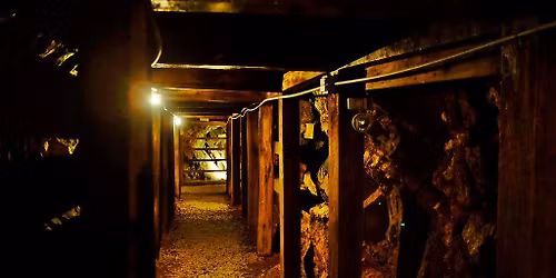Reed Gold Mine