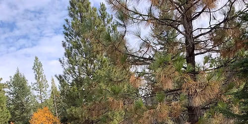 The Crest Turtle Trot \u2013 7th Annual Trail Run at Willow-Witt Ranch